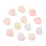 Opaque Acrylic European Beads