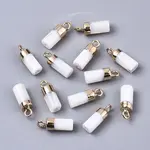 Natural Freshwater Shell Charms