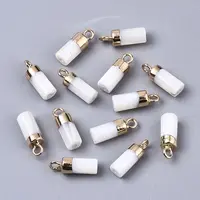 Natural Freshwater Shell Charms