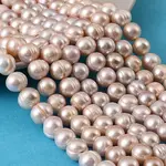 Natural Cultured Freshwater Pearl Beads Strands