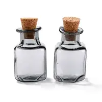 Square Glass Cork Bottles Ornament