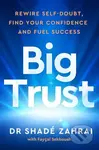 Big Trust (Rewire Self-Doubt, Find Your Confidence and Fuel Success)