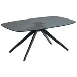 Boxxx KONFERENČNÍ STOLEK, černá, sklo, kov, 110/70/44 cm