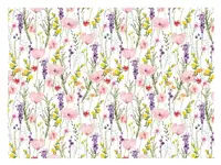 Balicí papír K361 100x70 LUX