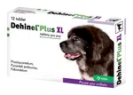 DEHINEL plus XL 12 tbl. 12 ks