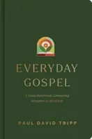 Everyday Gospel - Paul David Tripp