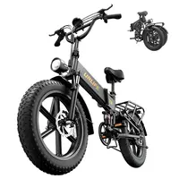 URLIFE T5 Electric Bike 750W 48V 13Ah 45km/h Black