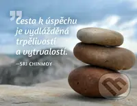 Magnet na lednici Cesta k úspěchu... - Sri Chinmoy