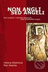Non Angli sed Angeli (Kult svatých v latinské literatuře raně středověké Anglie) - kniha z kategorie Náboženská literatura