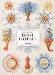 The Art and Science of Ernst Haeckel - Rainer Willmann, Julia Voss - kniha z kategorie Přírodní vědy a technika