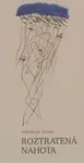 Roztratená nahota - Miroslav Danaj