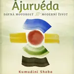Ájurvéda