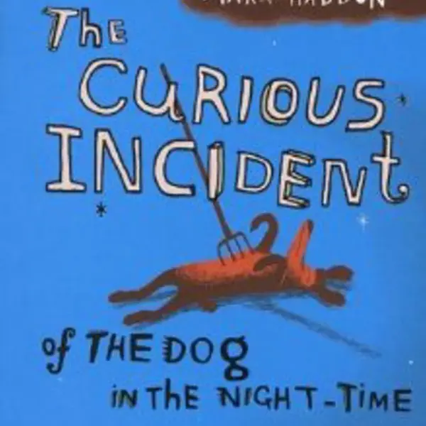 The Curious Incident of the Dog in the Night-time