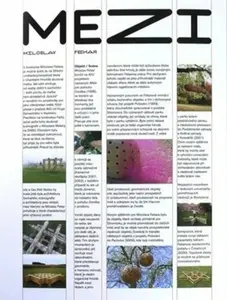 Mezi - Rostislav Koryčánek, Miloslav Fekar