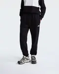The north face w evo sd reg pant xl