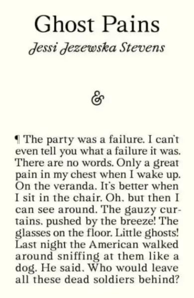 Ghost Pains - Jessi Jezewska Stevens