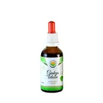 SALVIA PARADISE Ginkgo biloba AF tinktura 50 ml