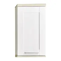 Landscape ZÁVĚSNÁ SKŘÍŇKA, dub San Remo, barvy modřínu, 38/70/24 cm