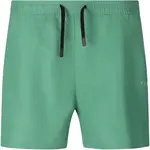 Pánske plavecké šortky Virtus Smither V2