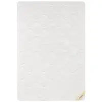 Sleeptex LETNÍ PŘIKRÝVKA, 140/200 cm, hedvábí, lyocell