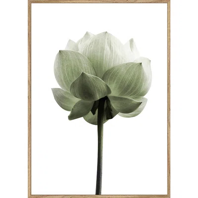 Monee TIŠTĚNÉ OBRAZY NA PLÁTNĚ, květiny, 50/70 cm