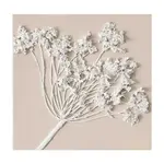 Monee OLEJOMALBA, květiny, 30/30 cm