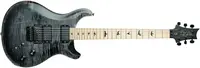 PRS 2023 Dustie Waring CE24
