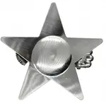 Niklová hviezdicová pracka