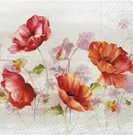 Ubrousek P 33x33 celorok SDL001191