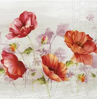 Ubrousek P 33x33 celorok SDL001191