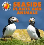 Beside the Seaside: Seaside Plants and Animals - Clare Hibbert