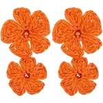 Ally with Raffia Grass Studs Earrings