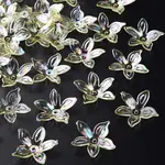 Transparent Acrylic Beads