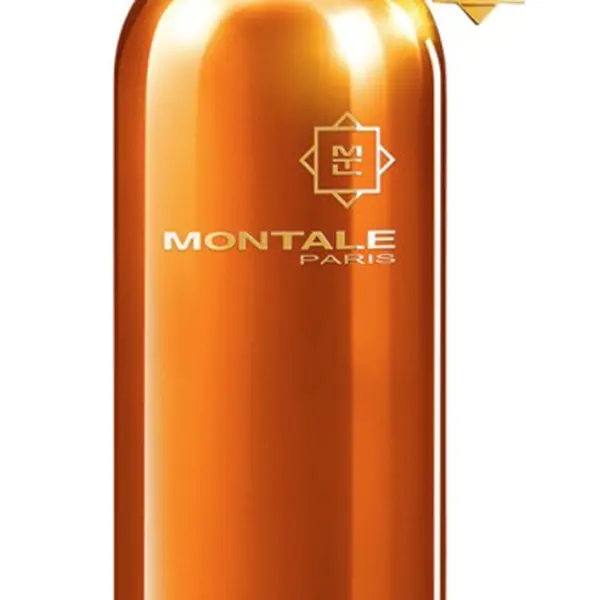 Montale Honey Aoud - EDP 100 ml
