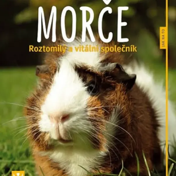 Morče - Roztomilý a vitální společník - Immanuel Birmelin