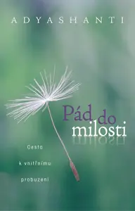 Pád do milosti - Adyashanti