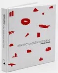 Brno postavené nepostavené - Ondřej Stehlík