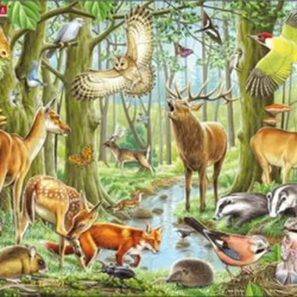 Puzzle Evropský les