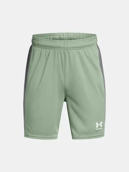 Boys' shorts Under Armour UA B's Ch. Knit Short - Boys