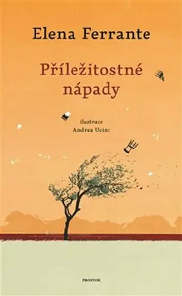Příležitostné nápady - Elena Ferrante, Andrea Ucini