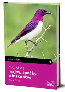Chováme majny, špačky a leskoptve - Michal Straka