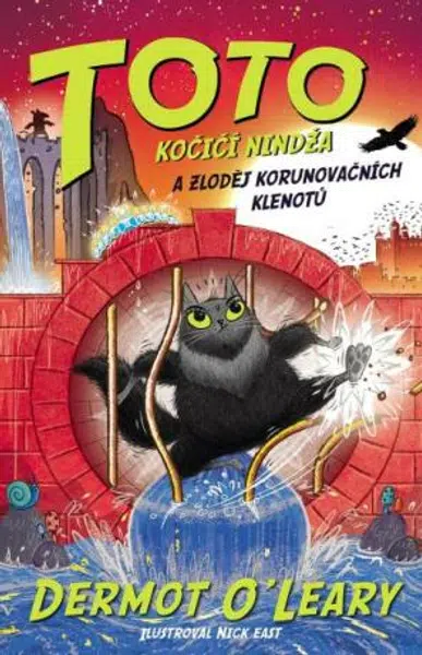 Toto Kočičí nindža a zloděj klenotů - Dermot O'Leary