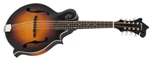 Eastman MDA315E-SB