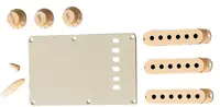 Fender Accessory Kit, Stratocaster, Aged White