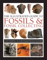 Fossils & Fossil Collecting, The Illustrated Guide to - Steve Parker