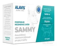 ALAVIS SAMMY
