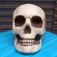 Halloween Theme Display Decoration