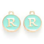 Golden Plated Alloy Enamel Charms