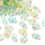 Gradient Color Transparent Frosted Acrylic Beads
