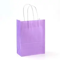 Pure Color Kraft Paper Bags